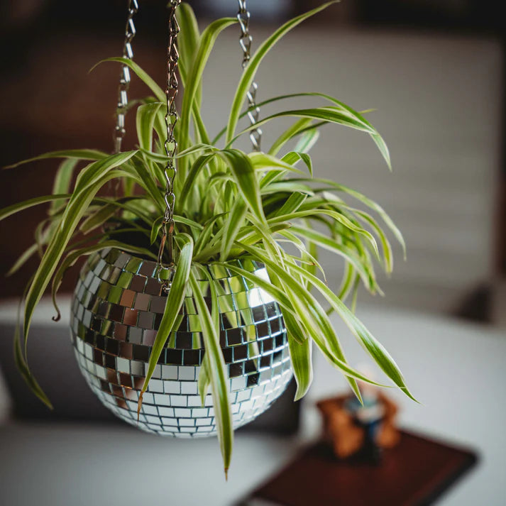 disco hanging planter NPW Group} Disco Ball Hanging Planter – Ellington & French