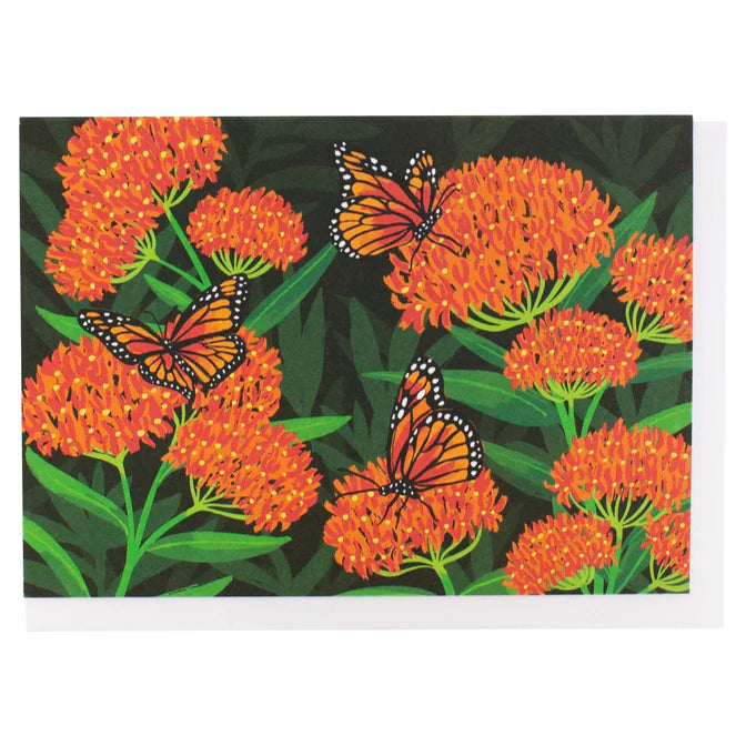 {Smudge Ink} Boxed Notecards :: California Poppies:: Set of 10 ...