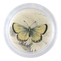 John Derian} Decoupage Coaster :: 4